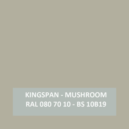 Kingspan MUSHROOM - RAL 080 70 10 - BS 10B19 - Aerosol 400ml